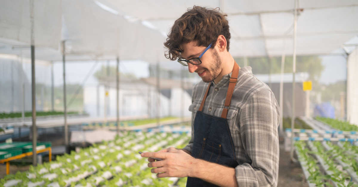 smiling male farmer in apron and glasses standing in a hydroponic farm