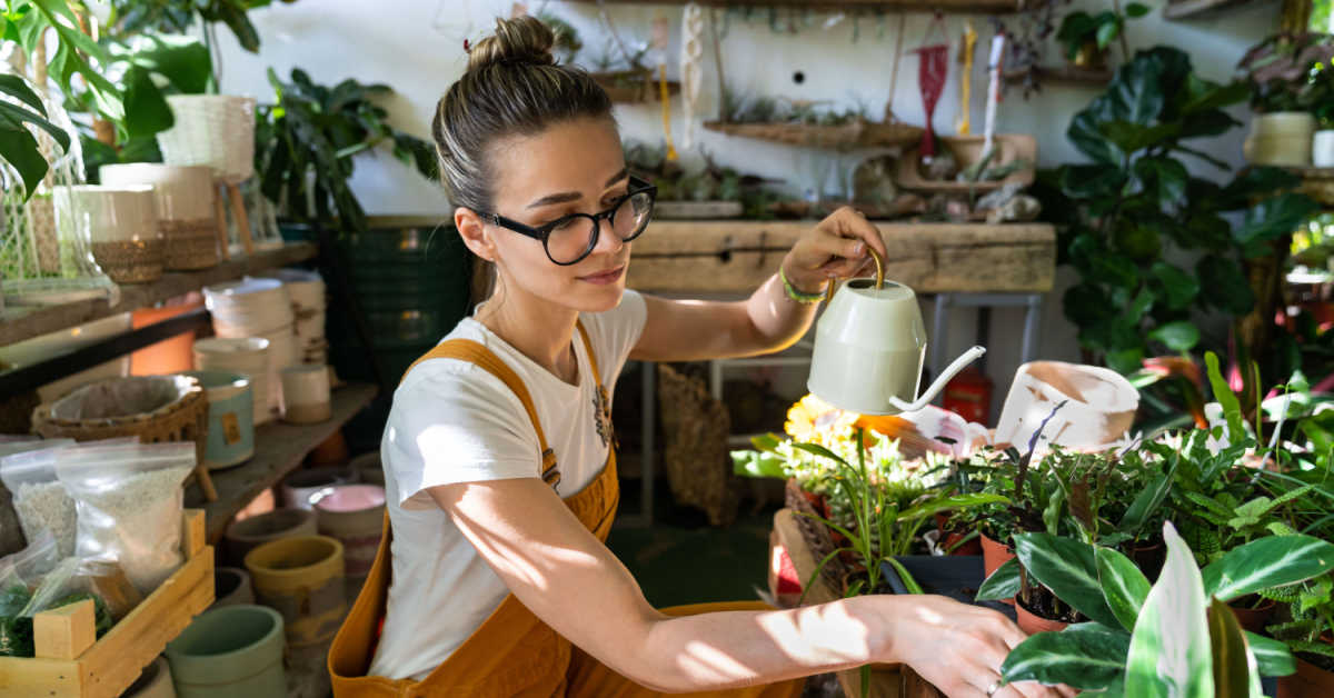 female small business horticulturist in orange overalls watering potted houseplant in greenhouse surrounded by plants and pots, using white watering can metal